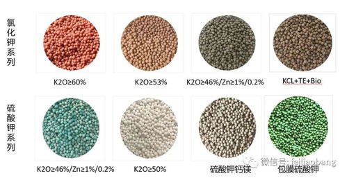 圓顆粒鉀肥 高效農(nóng)業(yè)的隱形守護(hù)者